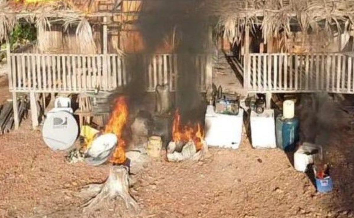 FANB desmantela tres estructuras clandestinas