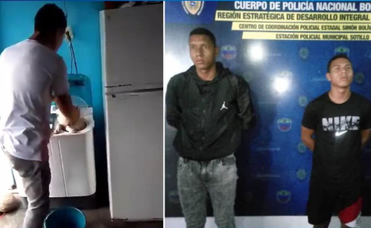 Metieron un perro en una lavadora