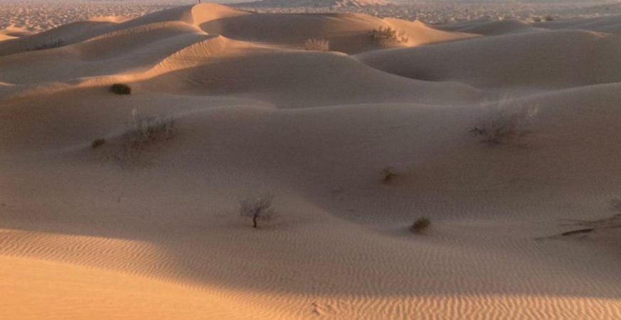 Ubar, la ciudad que desapareció