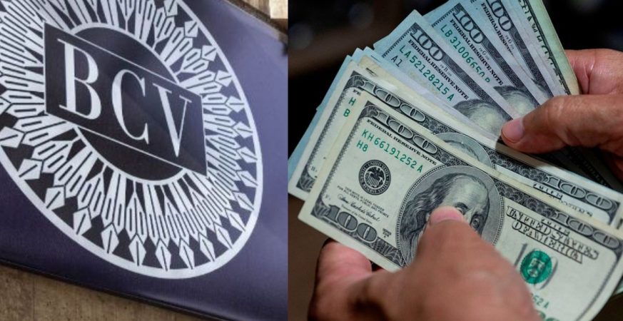 Precio del dolar BCV para este martes 5 de agosto