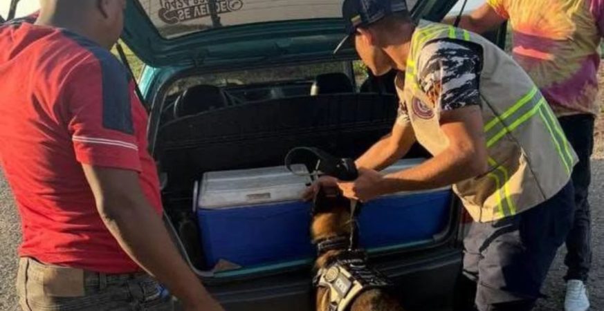 Dos detenidos en Sucre por la PNB