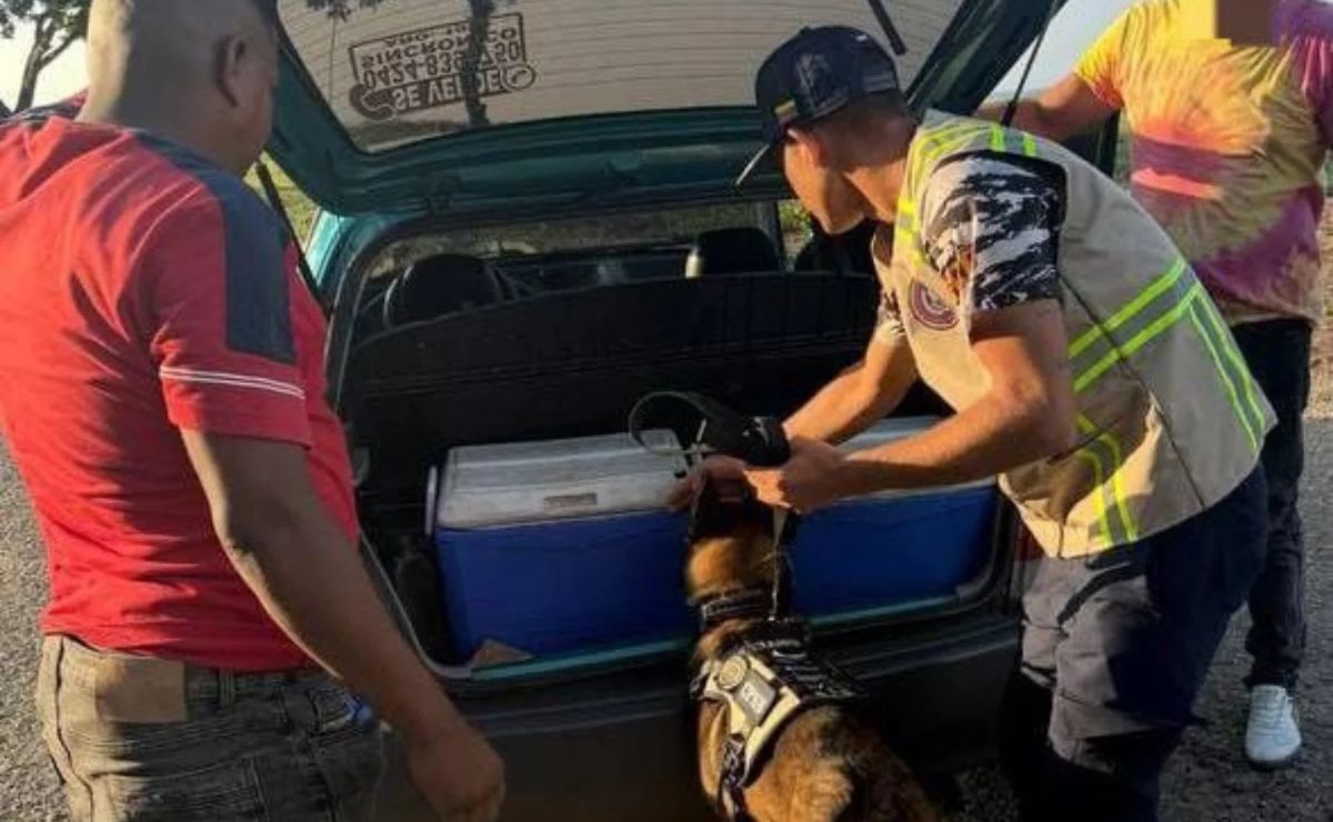 Dos detenidos en Sucre por la PNB