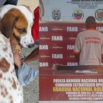 Confirman fallecimiento de Yorgelys Delgado y de su madre Gladys Escalona