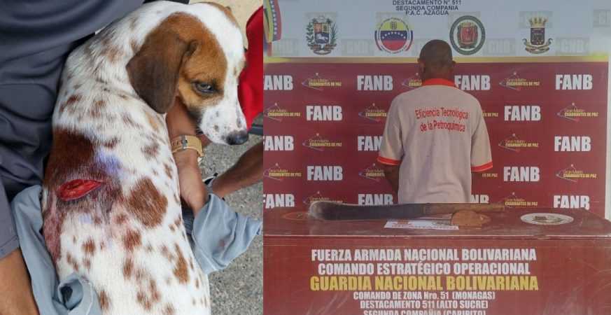 Detenido por la GNB