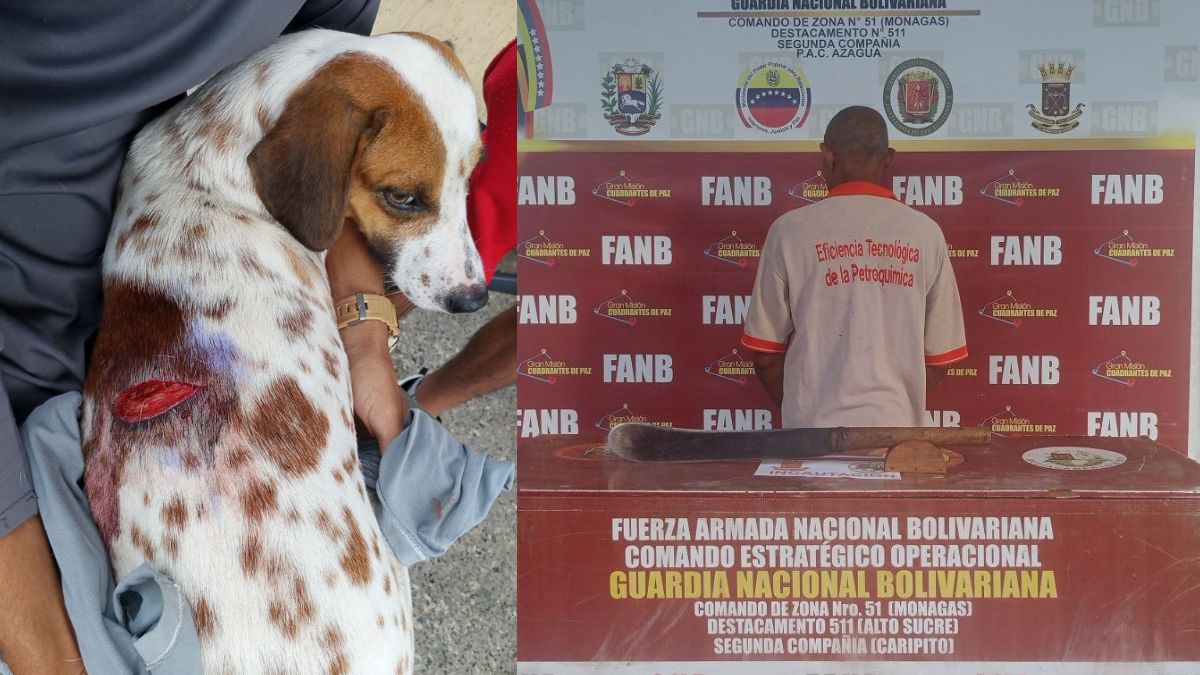 Detenido por la GNB