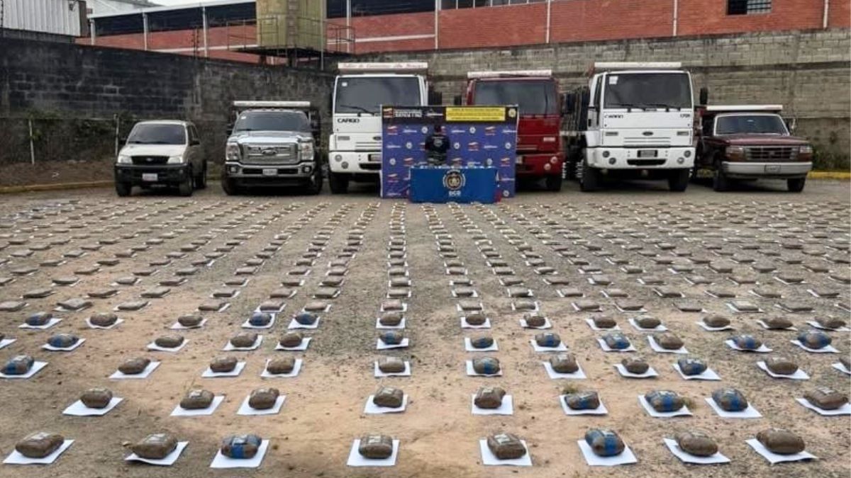 Incautan droga en Mérida
